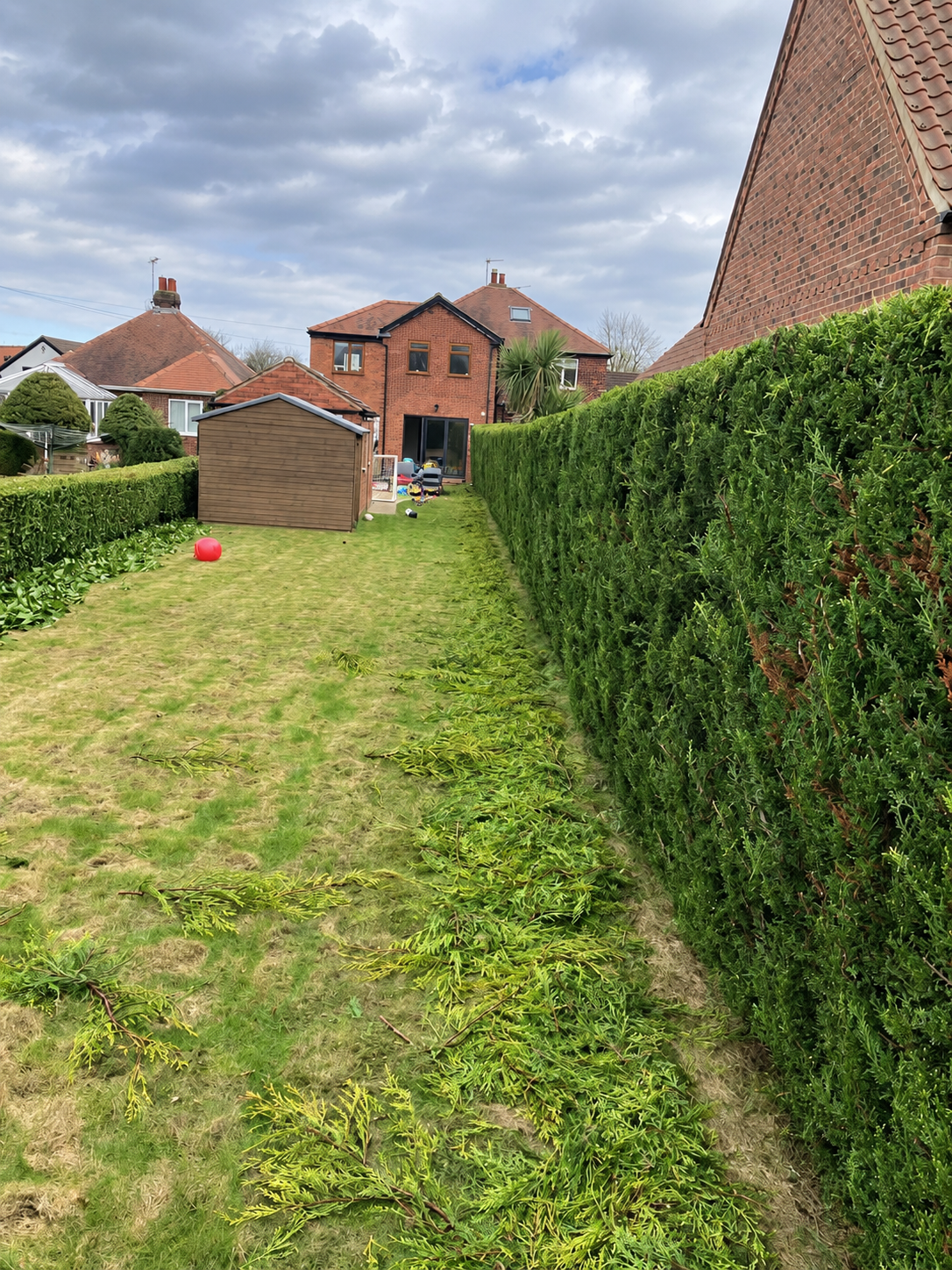 Garden Care & Maintenance